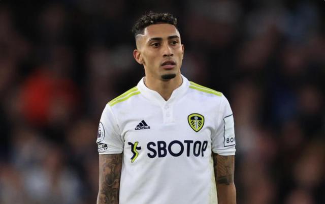 他與隊友奎 他與隊友奎