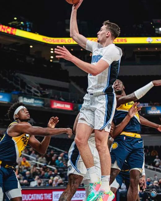 稳健发挥 稳健发挥